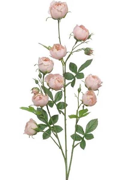 Rose Spray