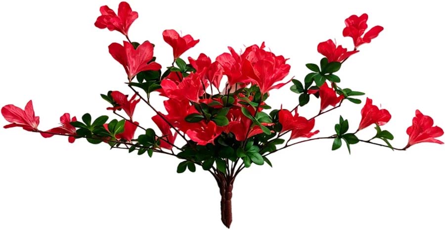 Azalea Spray