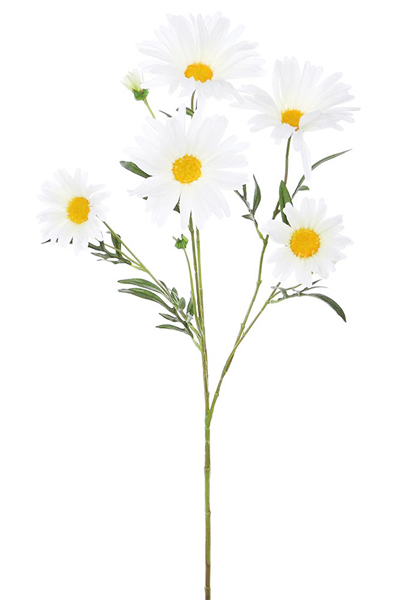 Aster Daisy Spray-White