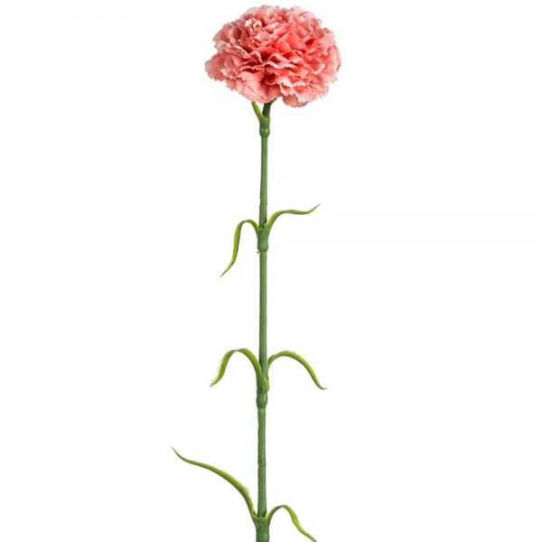 Carnation Spray