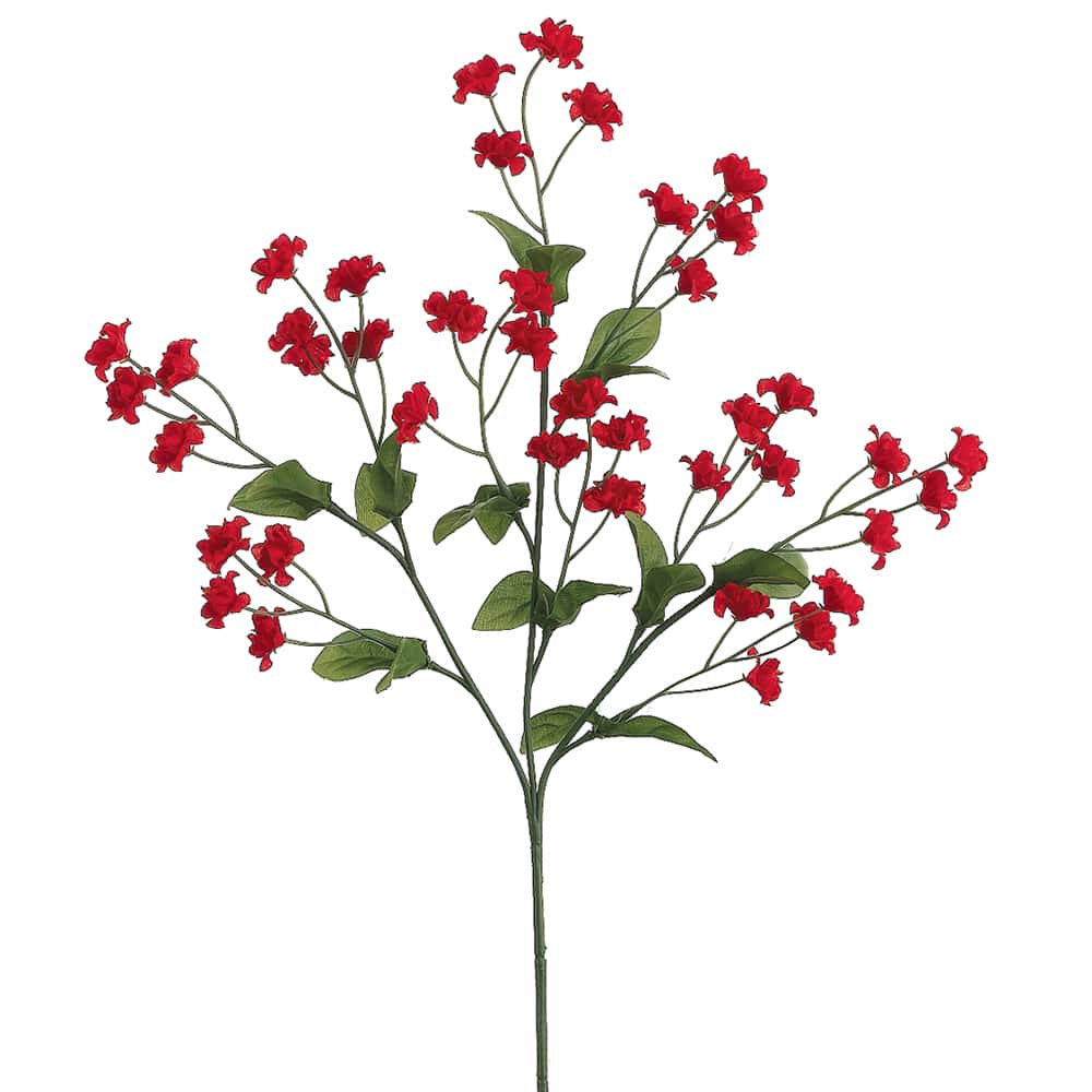 Baby Breath Old Style