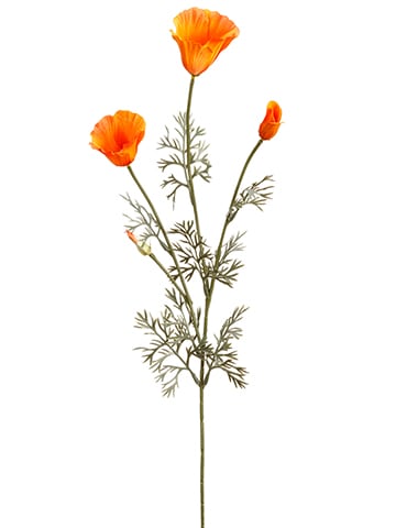 Calfornia Poppy Spray