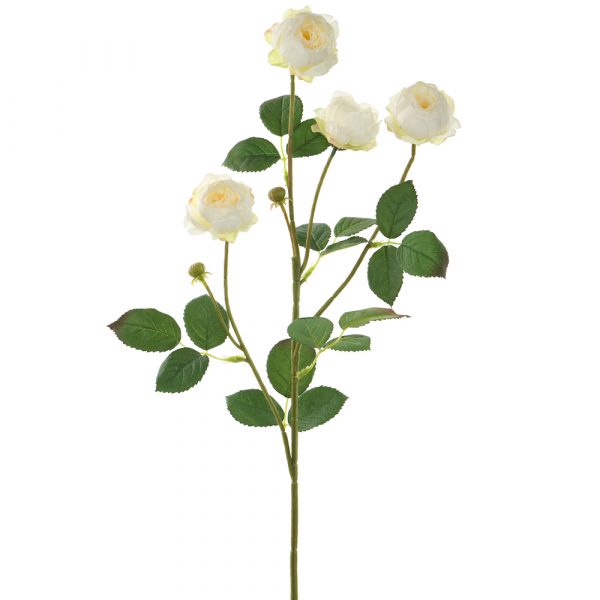 Camelia Spray
