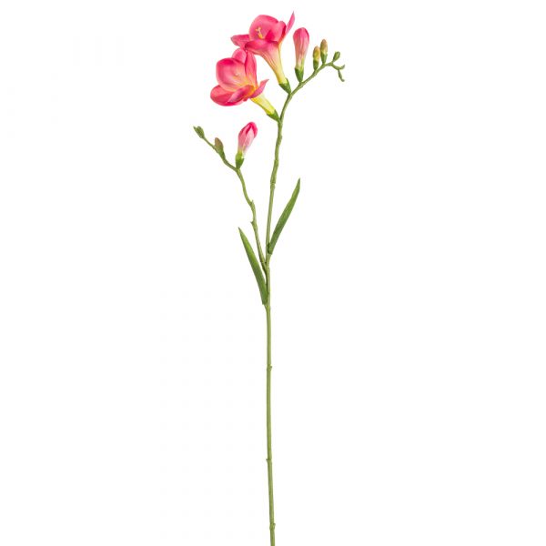 Freesia Spray
