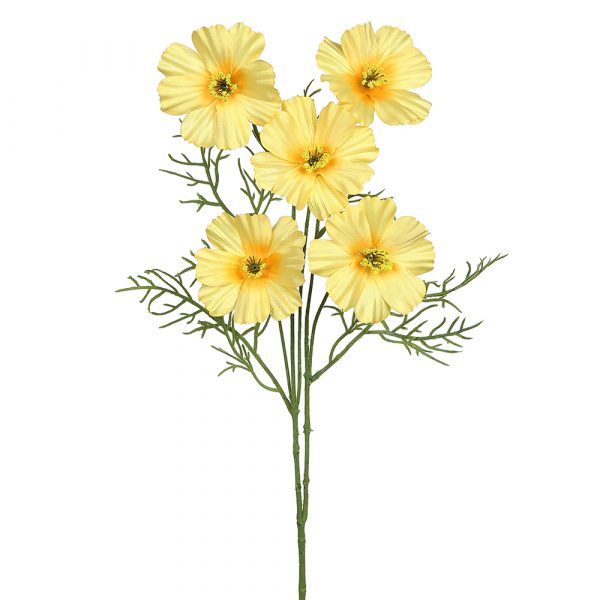 Cosmos Spray