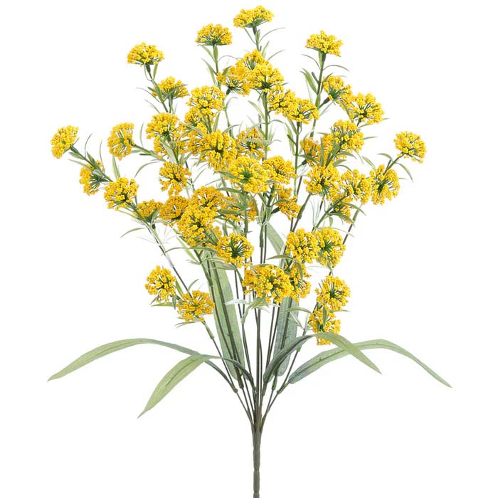 Lantana Bush