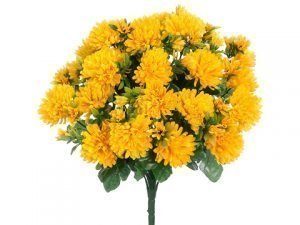 Mum Bush
