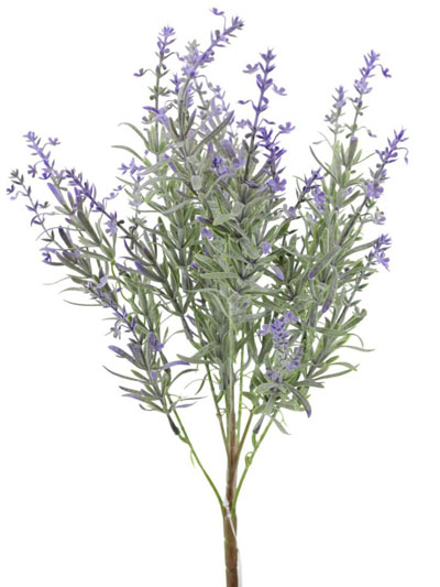 Lavender Bush-Small