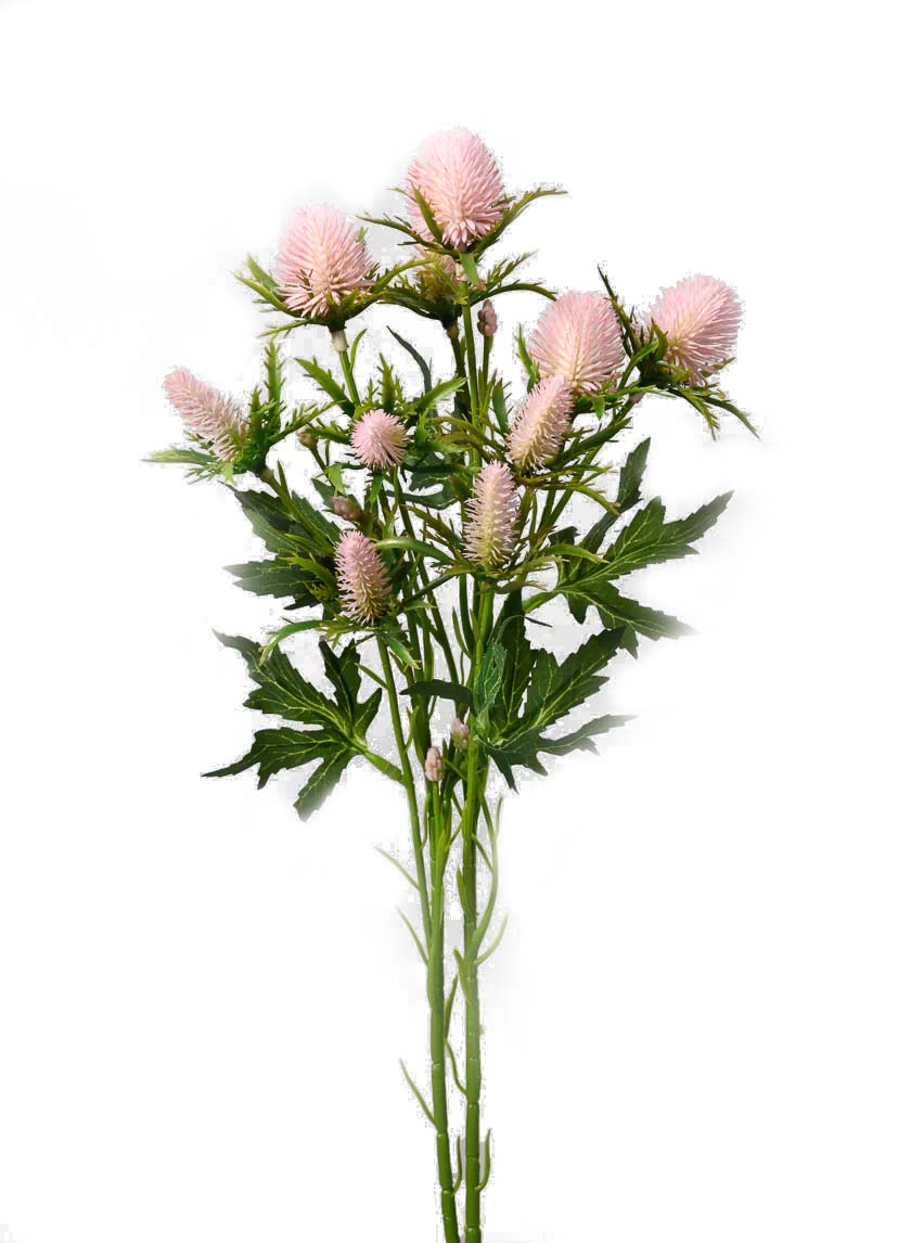 Sea Holly Spray