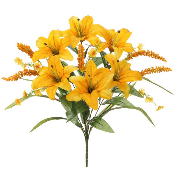 Tiger Lily
