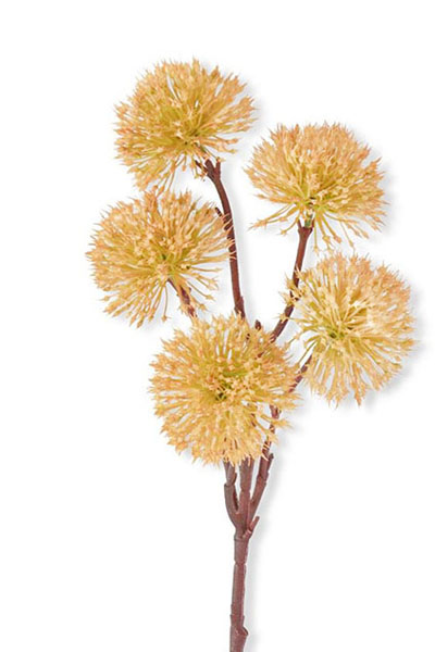 Thistle Spray