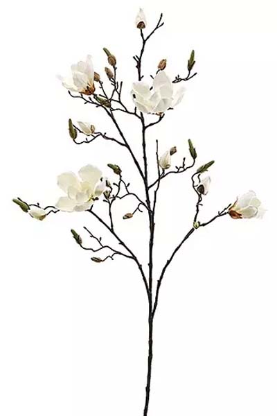 Magnolia Spray