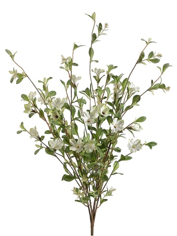 Petunia Bush-Large