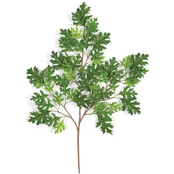 Pin Oak Spray-Green