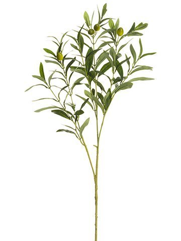 Olive Spray