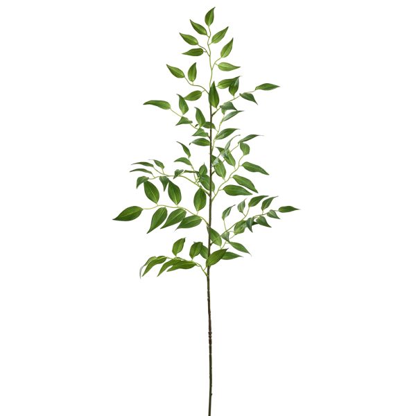 Ruscus Spray