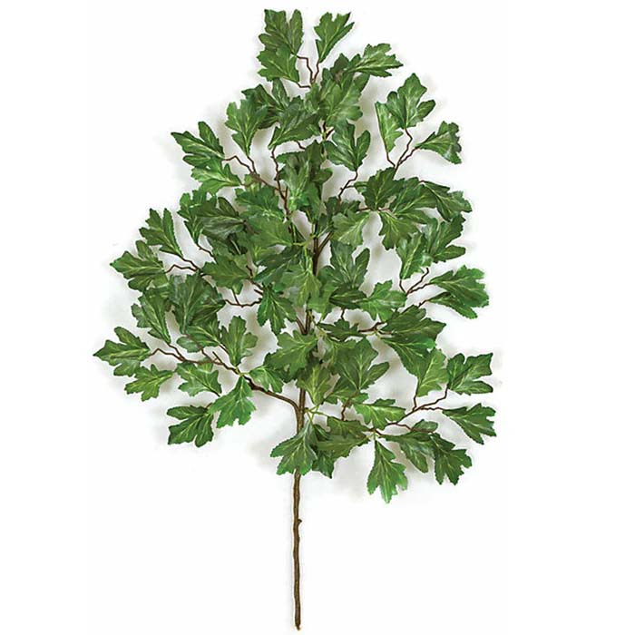 Scarlet Oak Spray