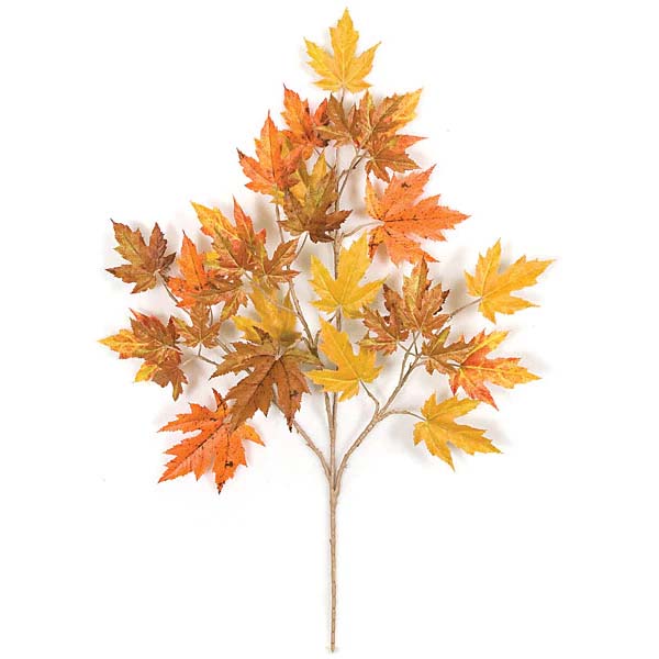 Rock Maple Spray-Fall
