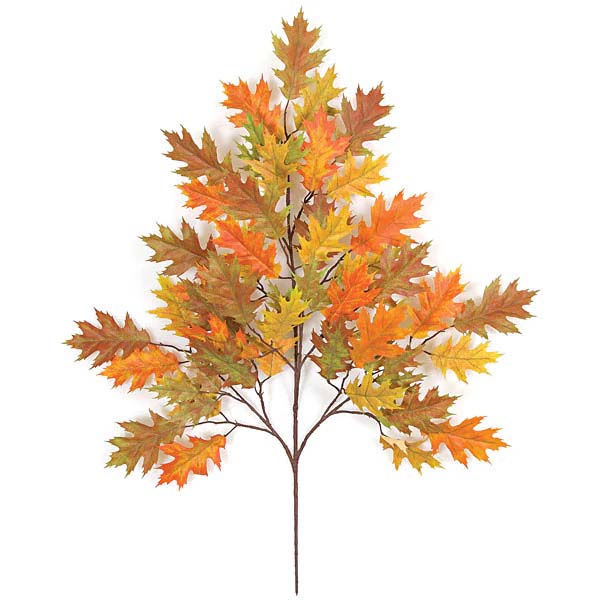 Pin Oak Spray Small Leaf-Fall