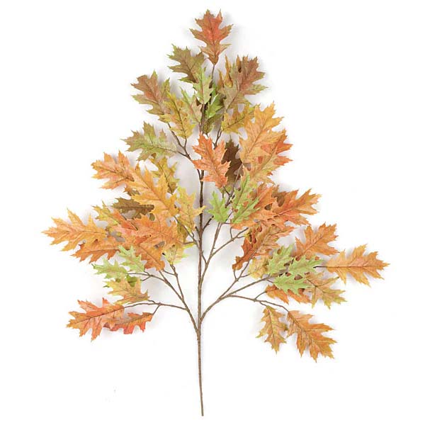 Pin Oak Spray-Fall