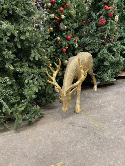 Reindeer Gold Head Down