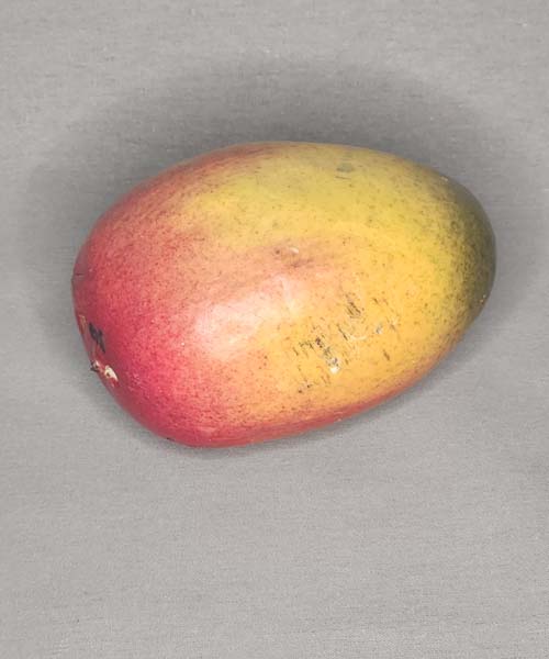 Artificial Mangos