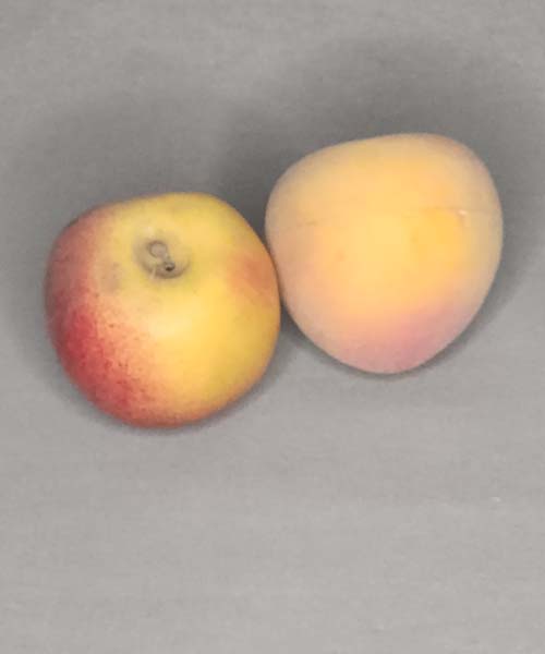 Artificial Nectarines