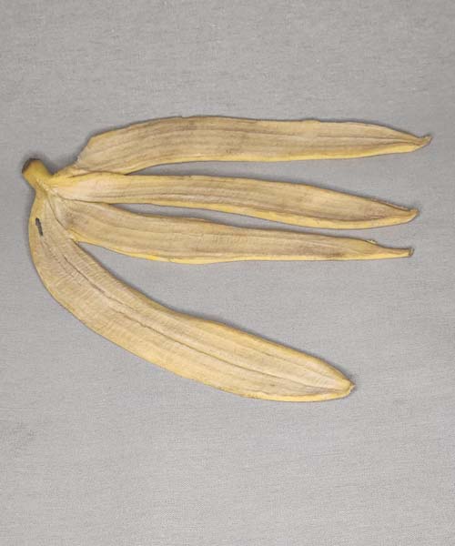 Artificial Banana Peels