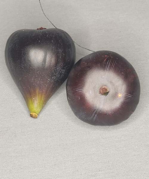 Artificial Figs