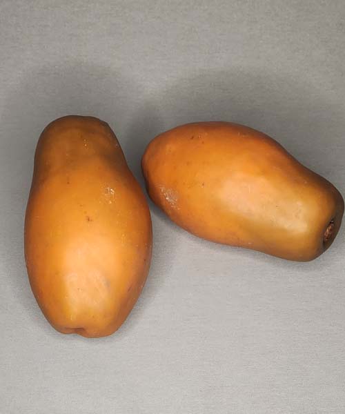Artificial Orange Papaya