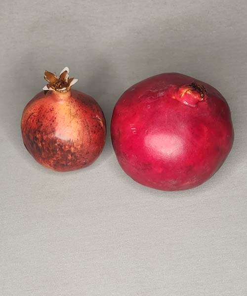Artificial Pomegranate