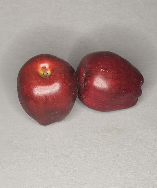 Artificial Red Delicious Apple