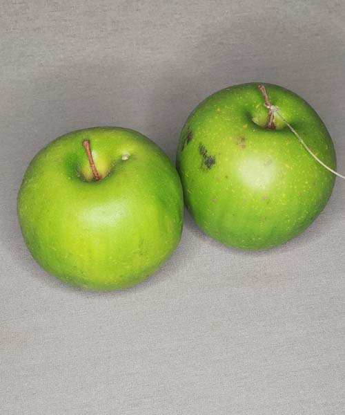 Artificial Granny Smith Green Apples