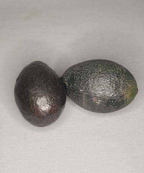 Artificial Avocado