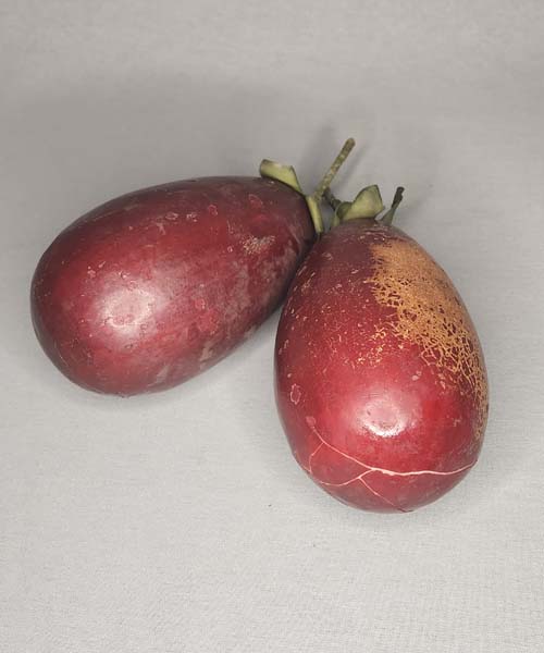 Artificial Eggplant