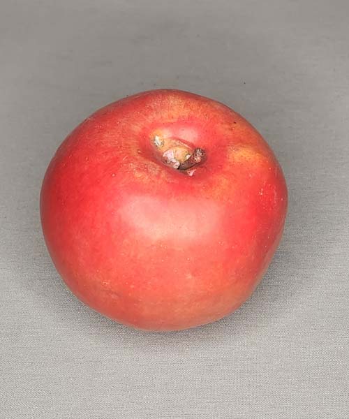 Artificial Fuji Apple