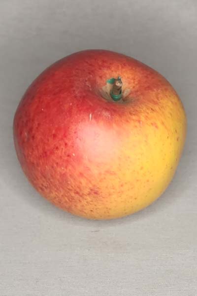 Artificial Gala Apple