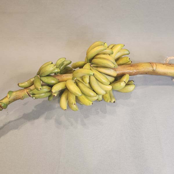 Artificial Baby Bananas