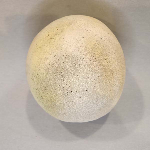 Artificial Honeydew Melon