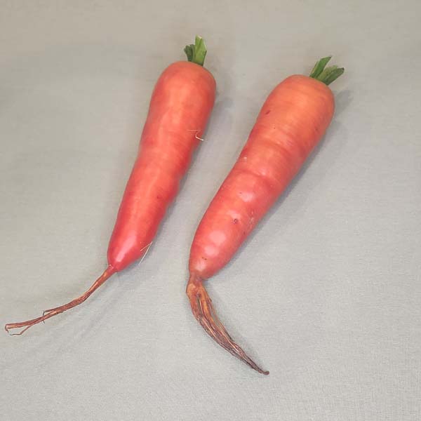 Artificial Carrots