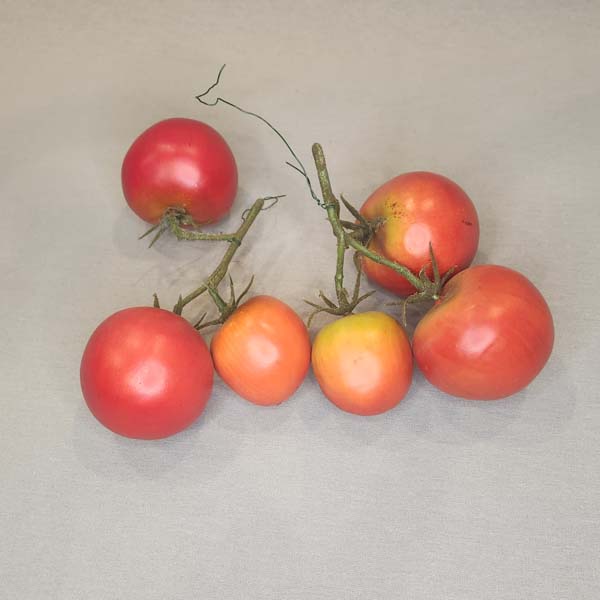 Vined Tomatos