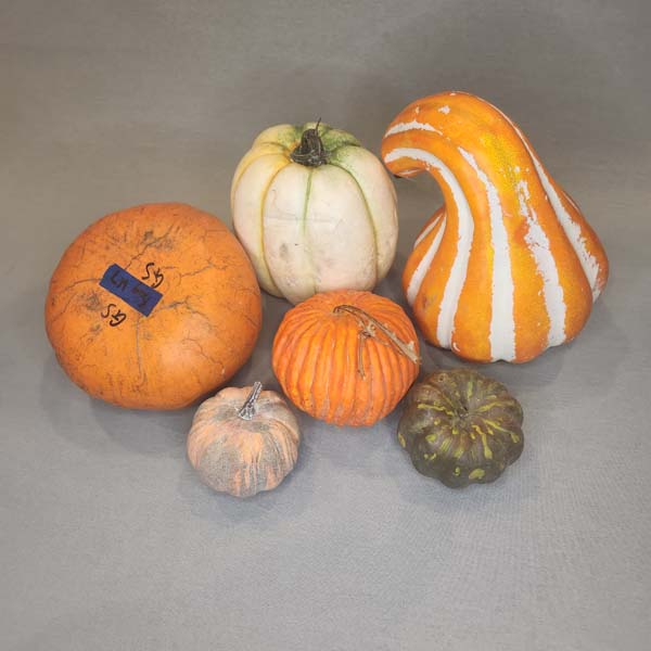 Artificial Assorted Squash