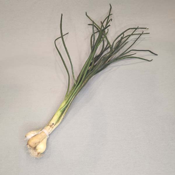 Scallions