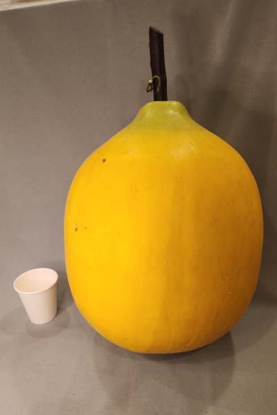 Oversized Lemon
