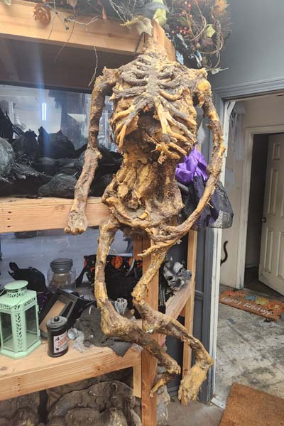 Decomposing skeleton