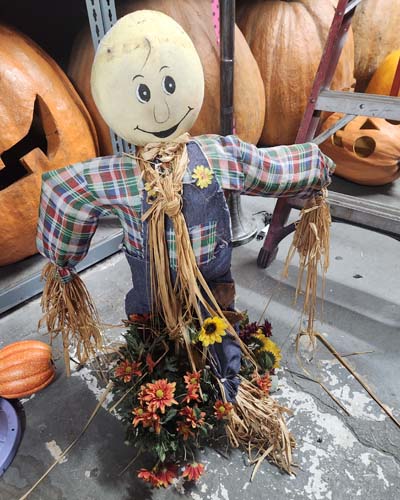 Small scarecrow