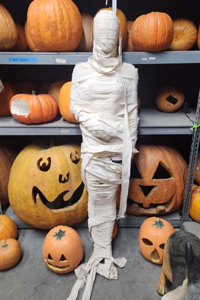 Full size female mummy