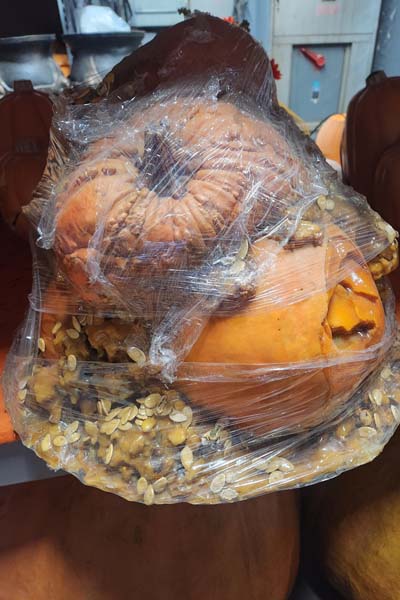 Rotting pumpkin with seeds and guts scent