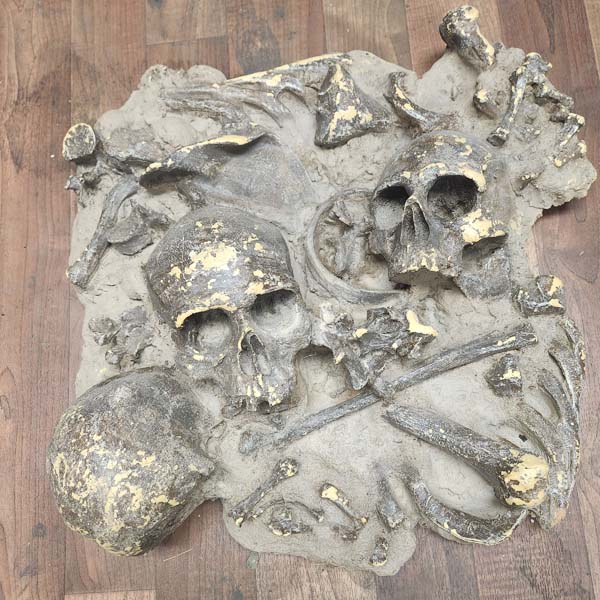 Exposed bones in the dirt