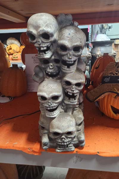 Scary skulls